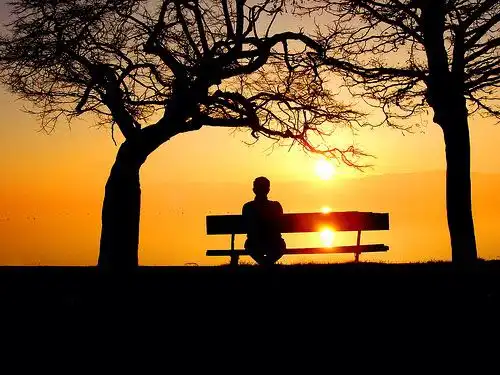 alone girl dp for whatsapp profile
